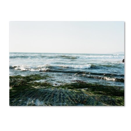 Trademark Fine Art Ariane Moshayedi 'Waves Rolling In' Canvas Art, 14x19 AM0331-C1419GG